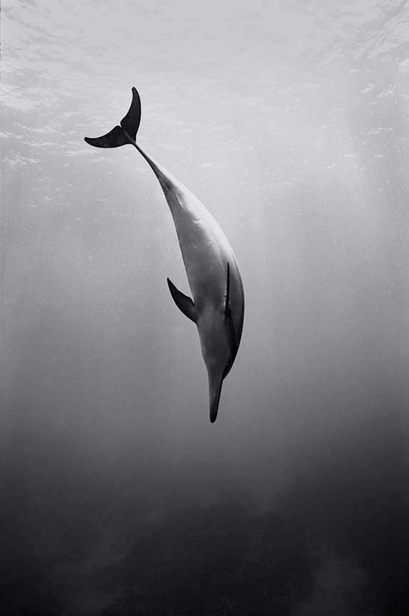 53ADF9E0-FCB5-4F60-B34C-FD9D096045CD