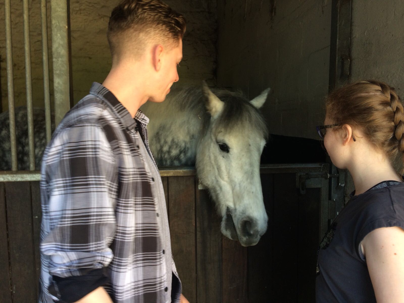 4ca24246-21f3-4e83-bf52-04a730dd66fe